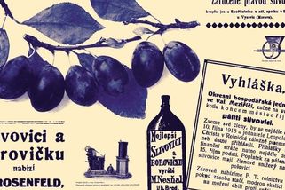 Zázrak jménem slivovice. Za války měla větší hodnotu než peníze - Médium.cz