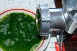 V roce 1985 jsem byla poslána z onkologické kliniky poslána domů zemřít. Dodnes věřím tomu, že to, co mi zachránilo život, byla tato směs