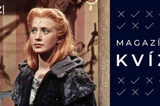 Kvíz, který prověří, kolik času jste strávili u vánočních pohádek a filmů - Seznam Zprávy