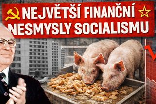 Největší finanční nesmysly socialismu: Proč se prasata krmila chlebem? | TOP 5 Zajímavosti