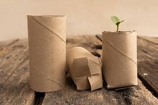 Výsev do ruliček od toaleťáku šetří peníze, přírodu i kořeny sazenic