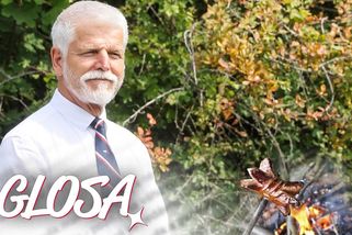 Ukrajinští oligarchové se úplně třesou, aby Pavlovi zaplatili u stánku buřta a pivo