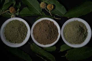 Ukrajinské úřady odhalily síť pašující kratom z Česka po celé Ukrajině - Seznam Zprávy