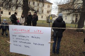 Protesty lidí nezabraly, u katedrály v Litoměřicích pokácí staré lípy - Novinky