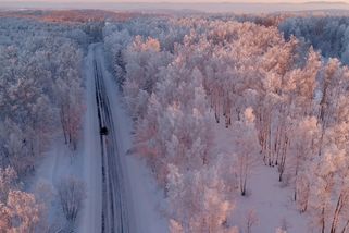 Čeští vědci navrhli řešení klimatické změny. Klíčem je kácení severských lesů
