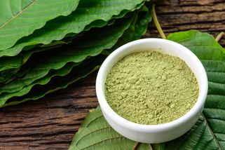 Kratom se od středy bude moci prodávat jen regulovaně v obchodech s licencí - Seznam Zprávy