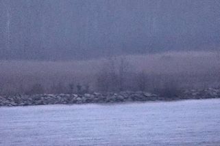 Ozbrojení Rusové v Estonsku asi na 20 minut překročili hranice NATO - Novinky