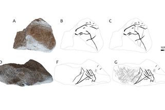 Jedinečný nález. Vědci odhalili na kameni z jeskyně Švédův stůl rytiny koní staré 15 000 let - Novinky