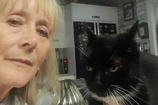 Kočka v Británii krade oblečení a nosí ho domů. Panička lup vrací přes sociální sítě - Novinky