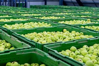 Česká jablka ve studii ekologů: Více škodlivých látek, ale hluboko pod limity - Novinky