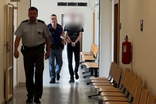 Školákovi, který chtěl zabít osm spolužáků ve škole v Děčíně, zpřísnili trest. Do vězení půjde na 2,5 roku - Novinky