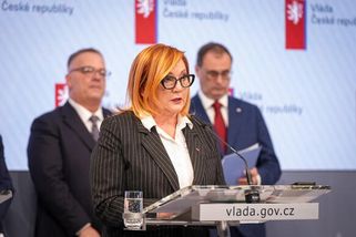 Schillerová oznámila zrušení Národní ekonomické ra...