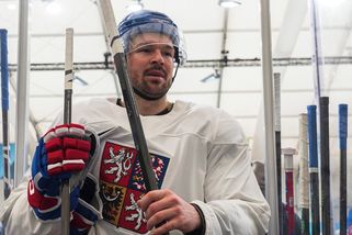 Hertl o českém superútoku: Budou se od nás čekat věci, já jsem na černou práci a obranu - Sport.cz