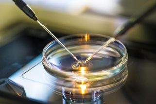 Bělošskému páru na Floridě se narodilo černošské dítě. Klinika zřejmě zaměnila embrya - Novinky