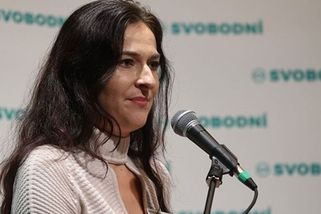 „Ve sněmovně se nic nedělá,“ říká Šichtařová. Z ka...