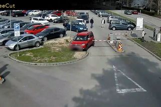 Řidiči v Břeclavi si oblíbili zkratky. Jejich divočinky natočily kamery - Novinky
