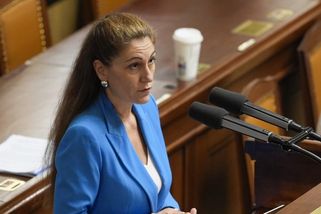 Tu radost vám neudělám, vzkázala Decroix ANO. Za slova o svoloči se „mileráda“ omluvila