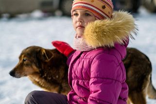 Cizí psi se bez povolení nehladí. Výjimka neexistuje ani pro děti - Médium.cz