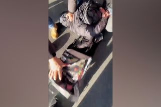 Kokain pašovali do Česka v dortech - Novinky