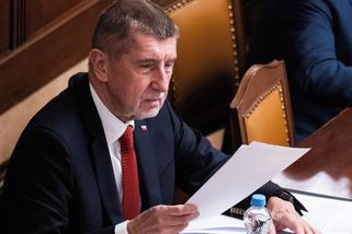 Plán pro krizi duševního zdraví. Babiš chce chystané změny osobně hlídat - Seznam Zprávy