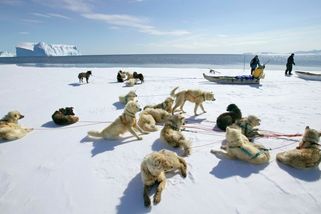 Fotky: Trump se jim vysmíval. Hlídky v Grónsku jsou ale jen pro ty nejtvrdší - Seznam Zprávy