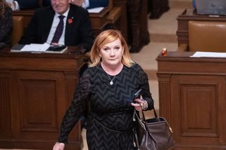 Schillerová navrhne vrátit rozpočet k přepracování, nastalo by provizorium - Seznam Zprávy