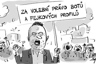 KEMEL: Za volební právo fejkových profilů - Novinky