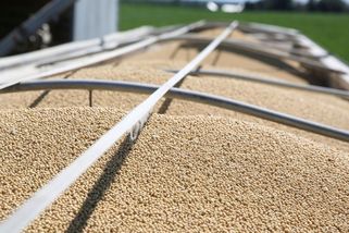 Evropská odpověď na Trumpa. Unie chce zakázat dovoz potravin s pesticidy - Novinky