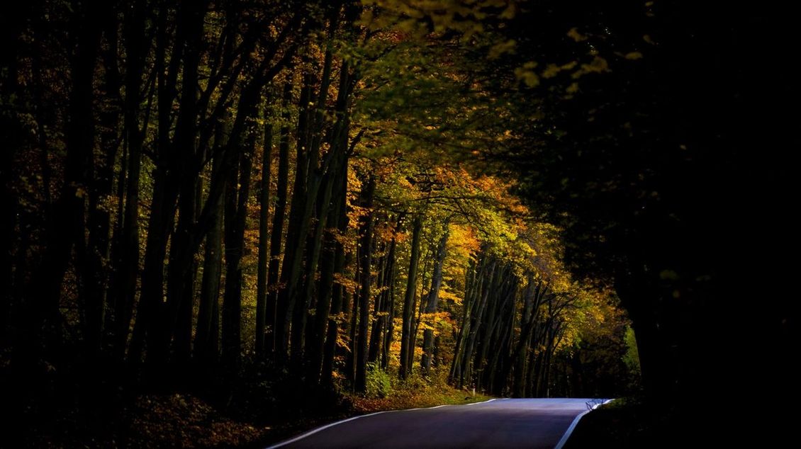 Fotky: Ponurý a temný? Podzim v české krajině je úžasně barevný - Seznam Zprávy