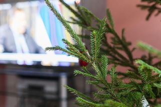 Psycholog: O politice bych o Vánocích moc nemluvil - Novinky