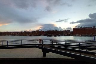 Sametová amnézie aneb pravda jako ohrožený druh - Médium.cz