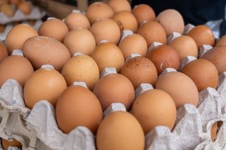 Tak moc ceny vajec ještě nevystřelily - Seznam Zprávy