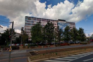 Věrný psík Igor Červený dopadl dobře, mohl skončit na řetězu u psí boudy - Médium.cz