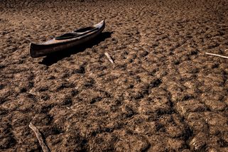 Sucho na planetě vstoupilo do nové éry. Cena bude vysoká - Seznam Zprávy