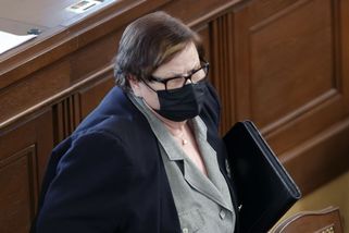 Benešová podala kárnou žalobu na Pavla Zemana - Novinky