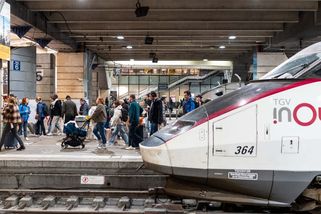 Useknutá ruka, rozražená lebka. Policie ve Francii zadržela hlavního útočníka z rvačky teenagerů ve vlaku - Novinky