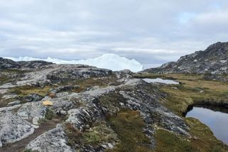 Mezi senátory USA se schyluje k souboji o Grónsko. „Jak nám může někdo věřit, když zradíme Dánsko?“ - Echo24.cz