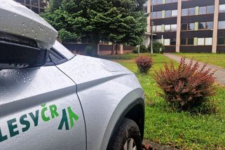 K zakázce od Lesů ČR se může oklikou dostat firma z Agrofertu - Novinky