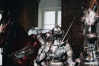 Zapomeňte na majestátní oře. Váleční koně ve středověku měli rozměry moderního poníka, zjistili...