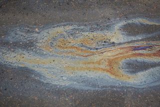 Aktivisté ve Vídni polili vozovku olejem, kluzký povrch je záhy vytrestal - Novinky