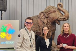 „Pražská zoo je lovebrand.“ Poliaková nastupuje do čela zahrady s důrazem na lidi a spolupráci - Novinky