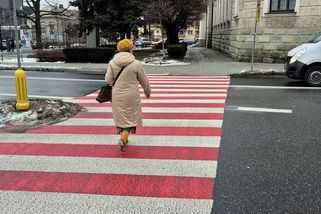 Řidiči v Polsku jsou pod drobnohledem, za nezastavení chodcům platí tisícové pokuty - Novinky