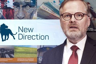 Fialův institut má příjmy od nadace, kterou sponzorovala pražská záložna - Seznam Zprávy