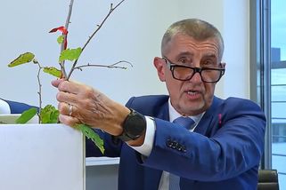 Ať žije náš premiér! Babiš si nemohl pomoct a musel zastínit Fialovu nutellu - Novinky