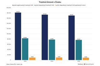 Kriminalita cizinců v Česku klesá, ale vláda chce dál zpřísňovat - Novinky