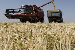 Cukr a obilí z Ukrajiny. Potravináři se přou s obchodníky, jestli „zkazí“ české ceny - Novinky