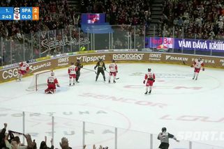 Snad každý tušil, že jde o ofsajd. Rozhodčí přesto gól Sparty museli uznat - Sport.cz