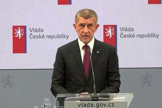 V USA kritizují Česko: Pod populistou Babišem nesplní cíl NATO ve výdajích na obranu - Novinky