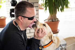 Od štěněte k profi kariéře. Fotografie ukazují psí cestu k pomoci nevidomým - Seznam Zprávy