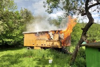 Na Prostějovsku shořel včelín, vybuchla tam plynová láhev - Novinky